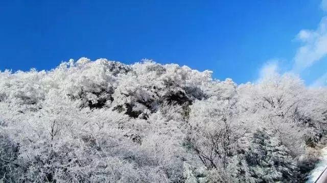 原住民老人救援