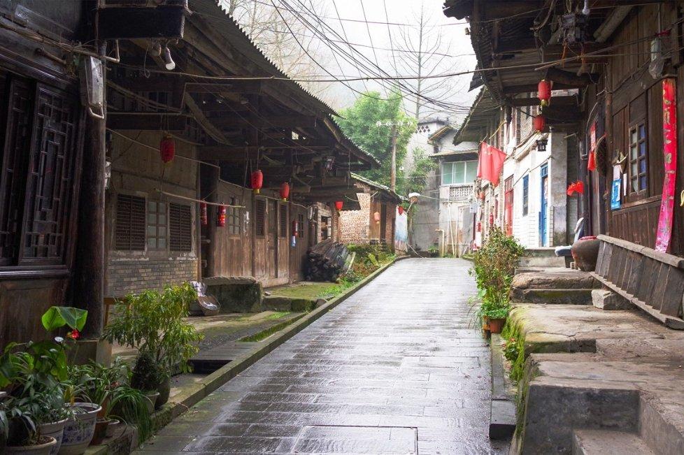驱灵师